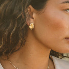 Load image into Gallery viewer, Lina Shell Earrings
