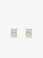 Load image into Gallery viewer, Allure Small Carre Studs
