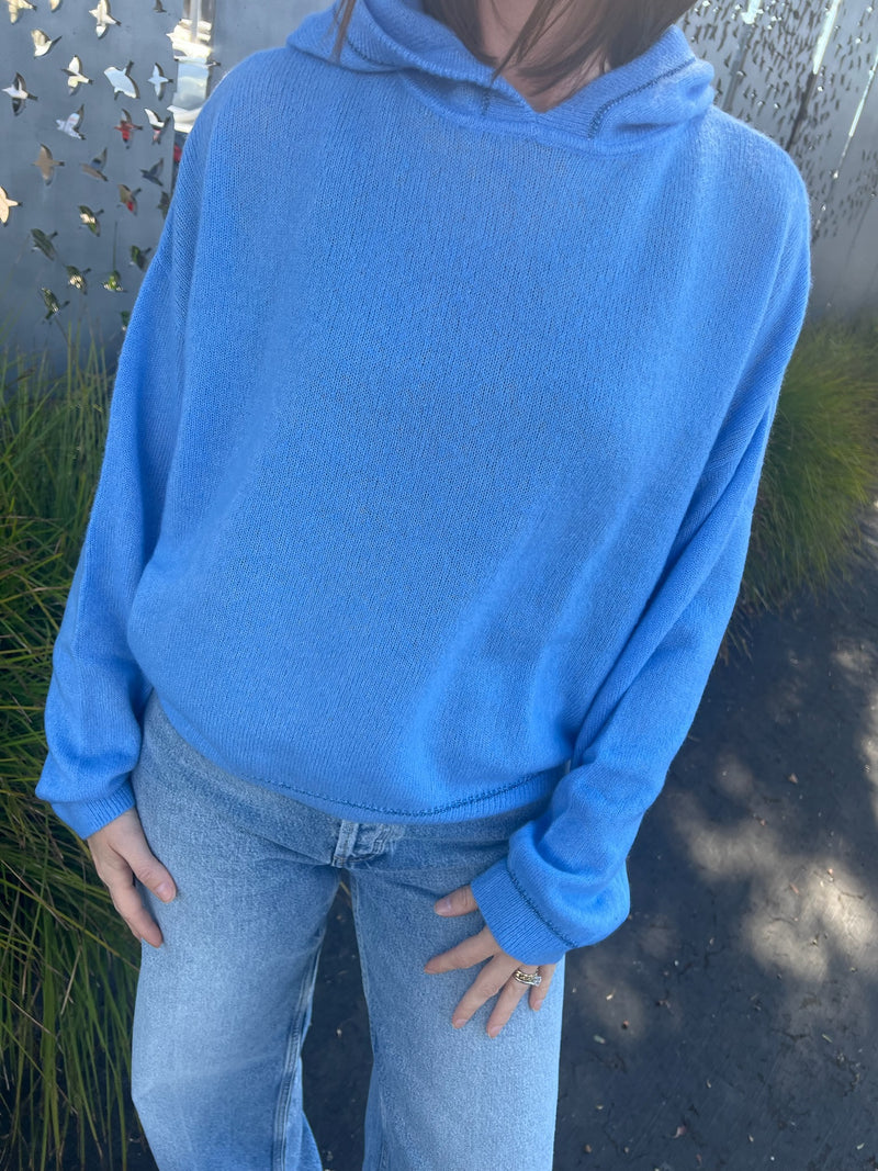 Amara Gleam Hoodie