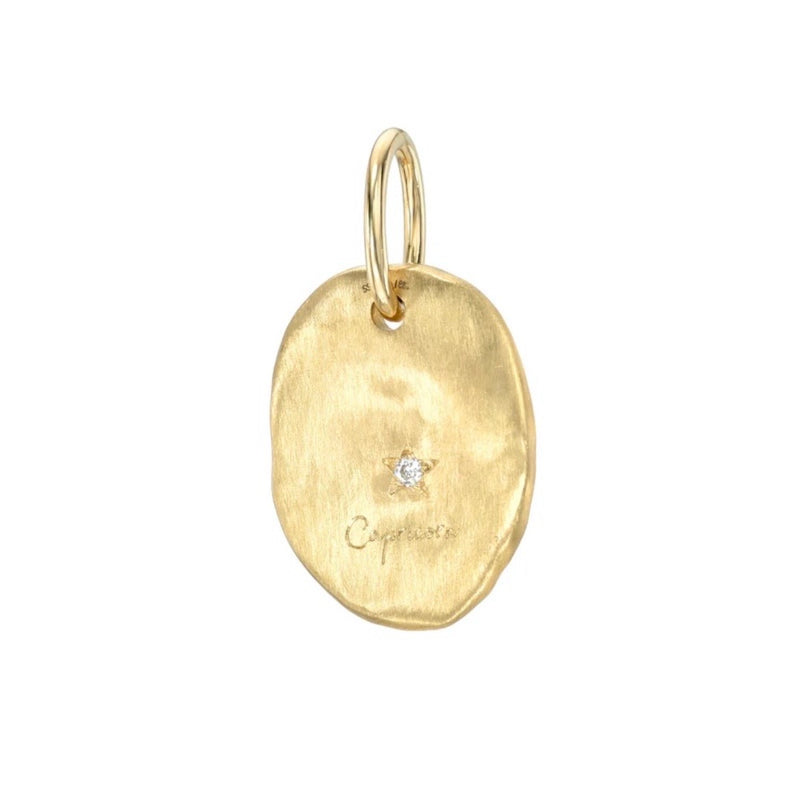 Capricorn Pendant alternate view