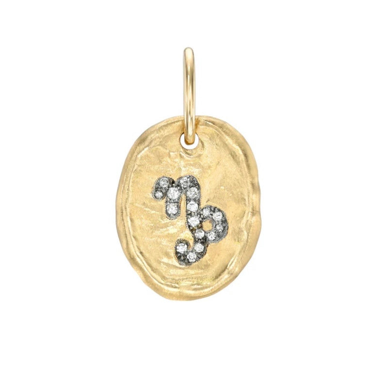 Capricorn Pendant